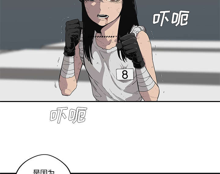 第78章：关注11