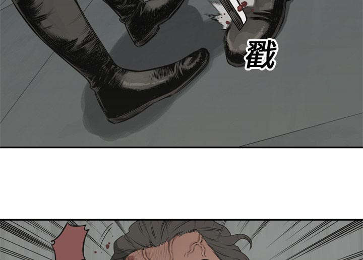 第39章：进入31