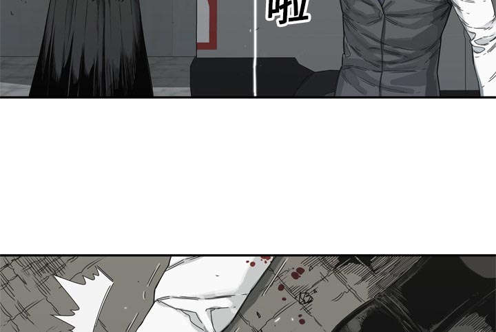 第43章：追击43