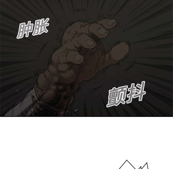 第21章：移植手术51