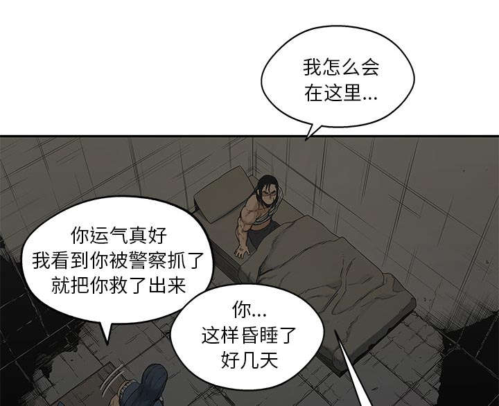第54章：纸老虎39