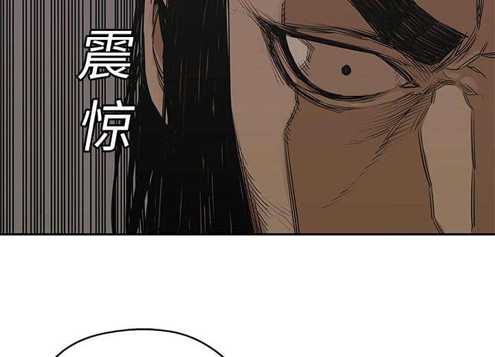 第54章：纸老虎60