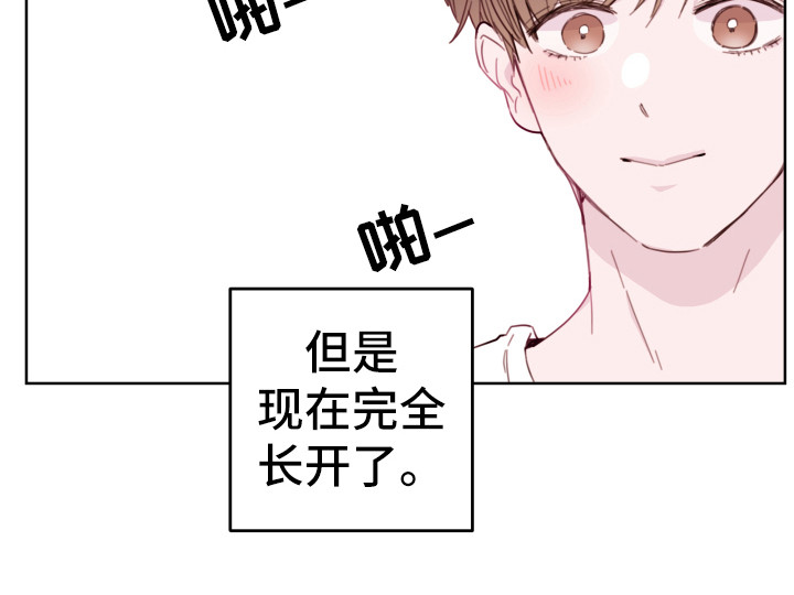 第2章：小舅子16