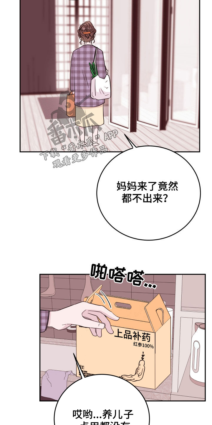 第42章：掩盖2