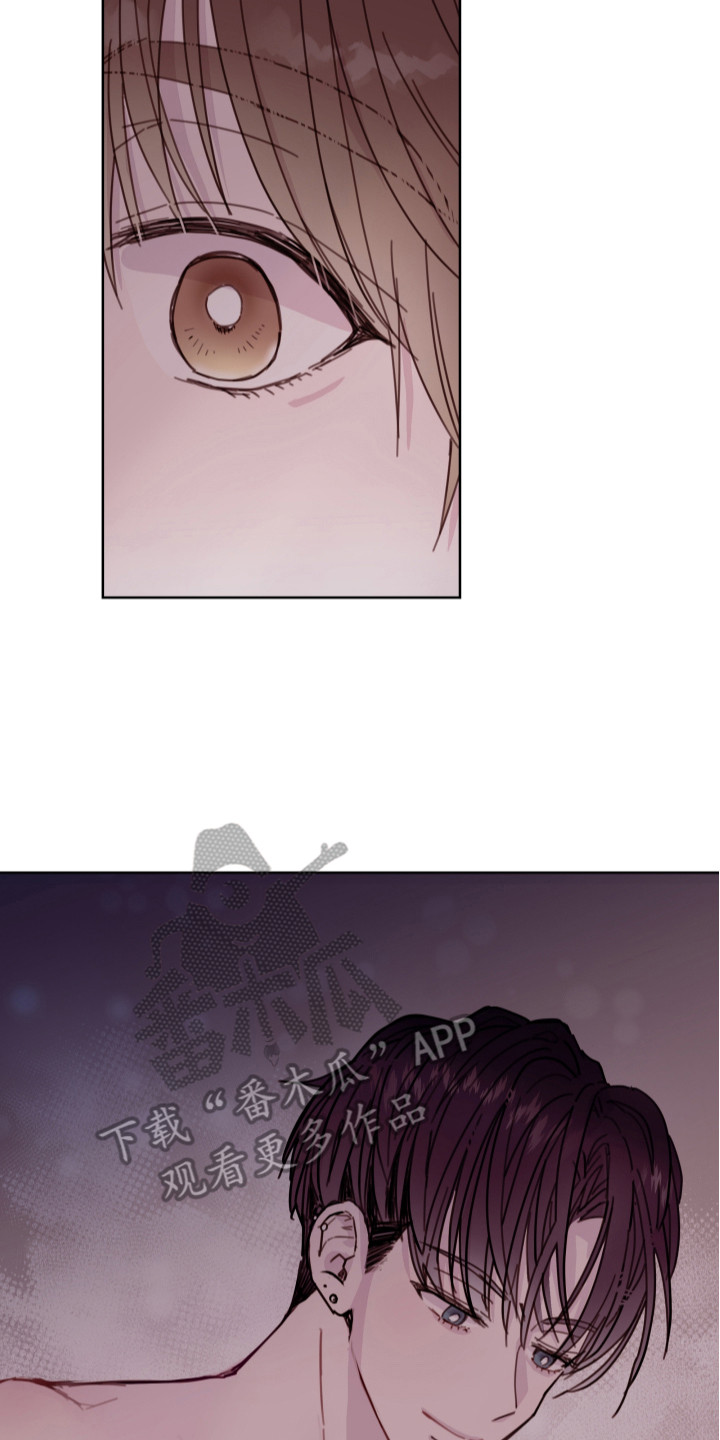 第15章：不追究7
