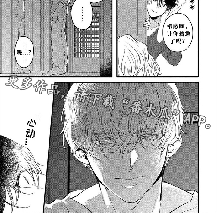 第13章：看法6