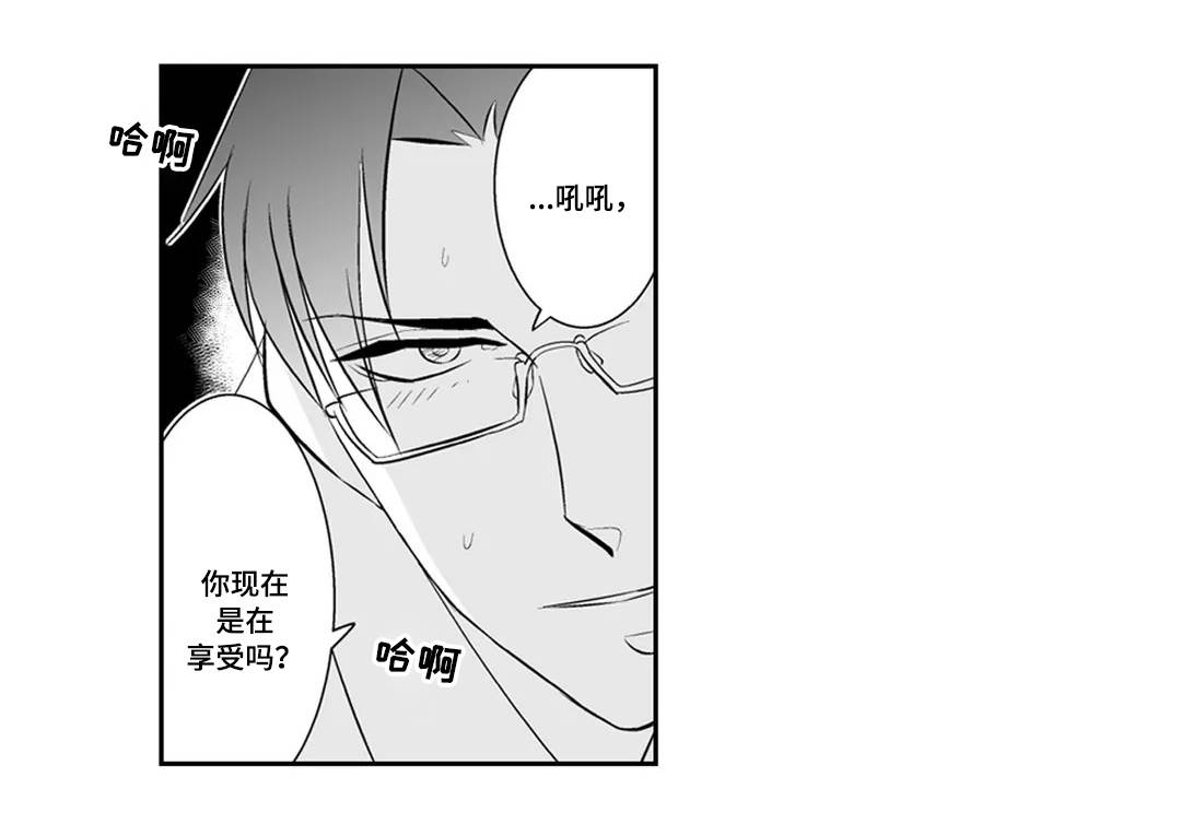 第3章：完美5