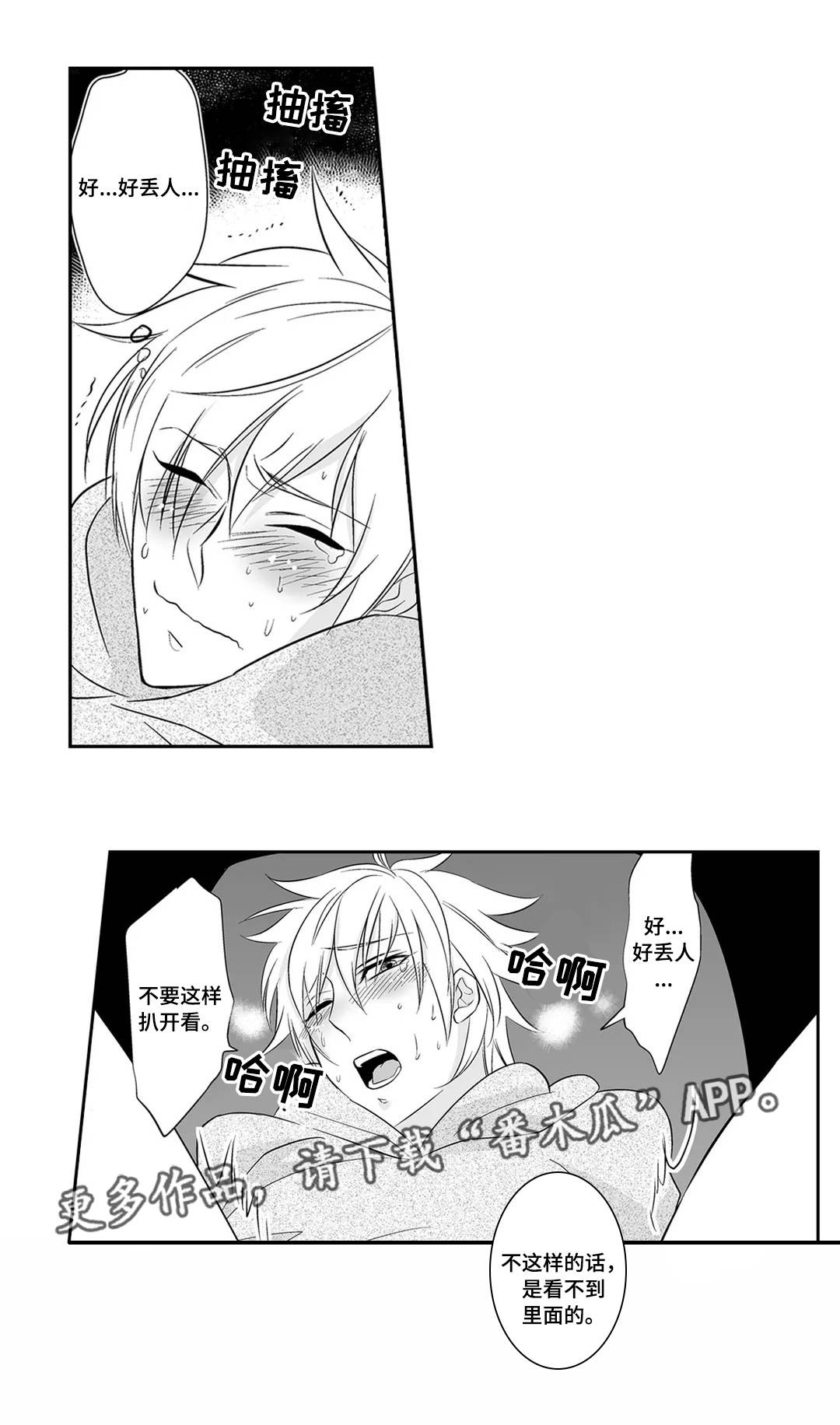 第3章：完美1
