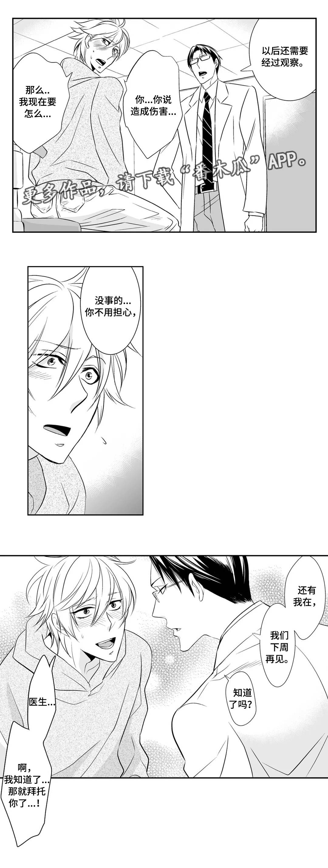 第3章：完美12