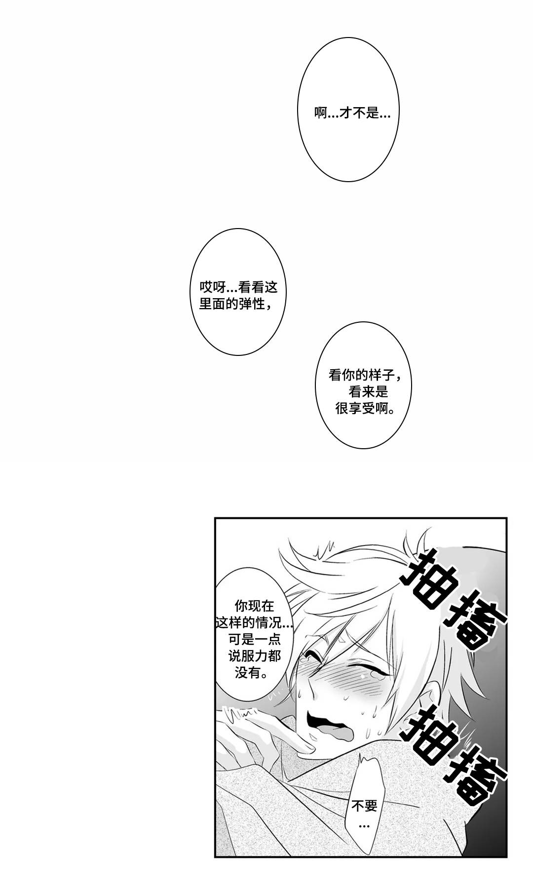 第3章：完美6