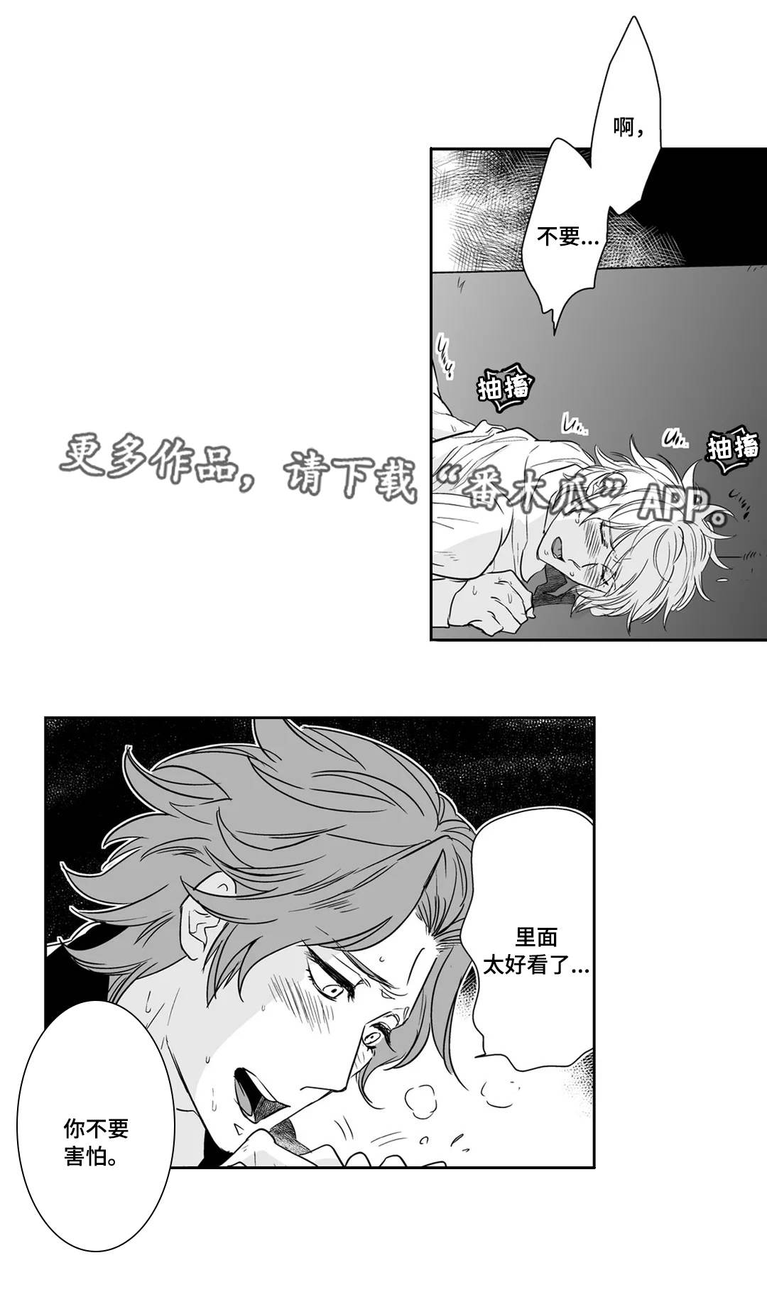 第17章：爱人5