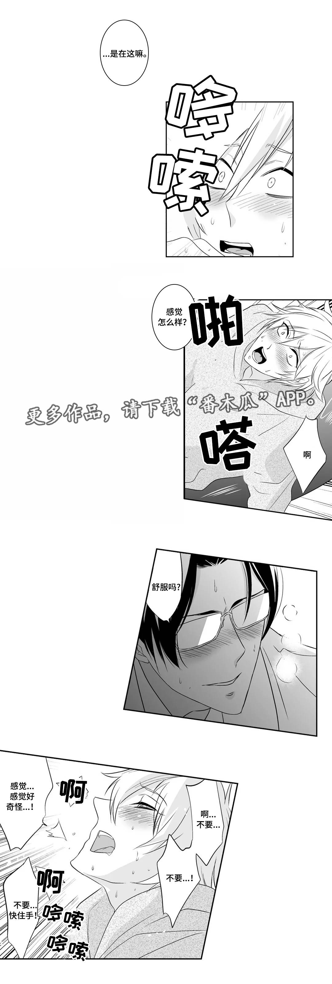 第3章：完美7