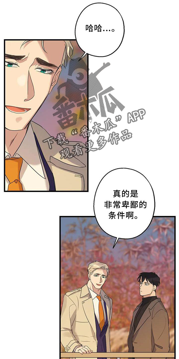 第34章：假恋爱9
