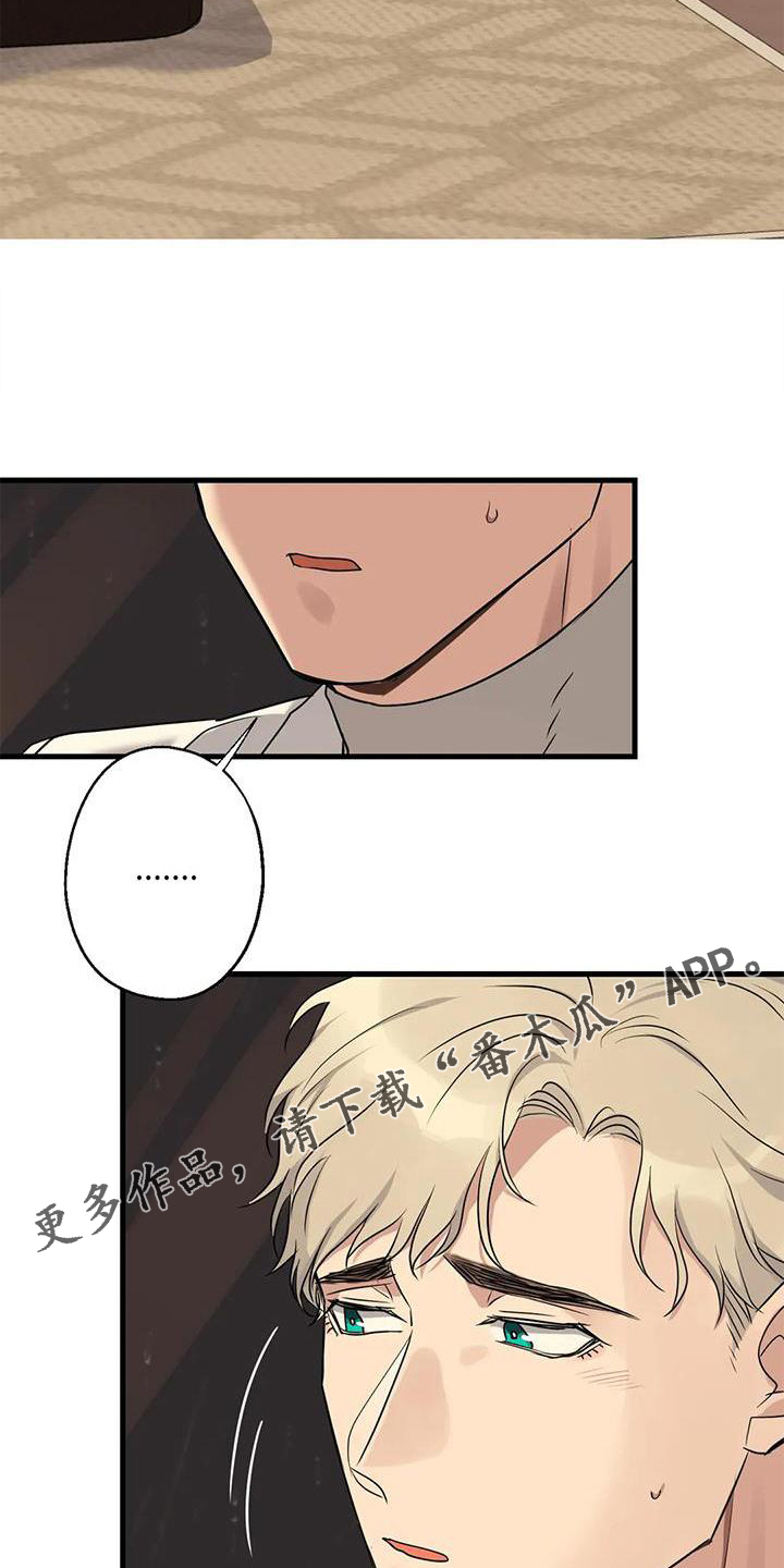 第29章：对不起17