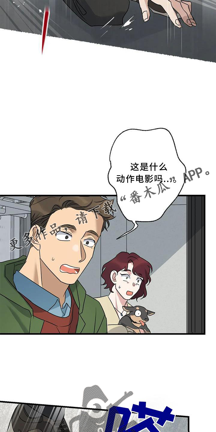 第36章：捉贼18