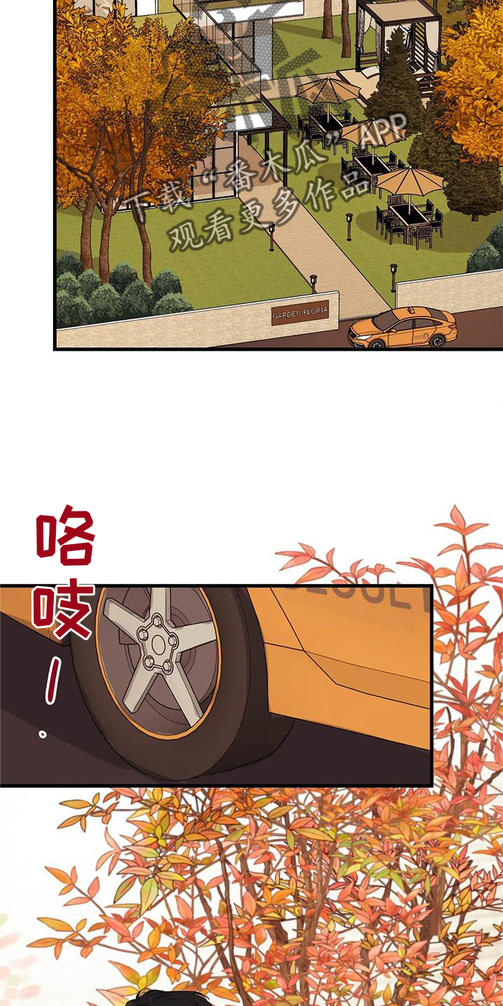 第32章：咨询25