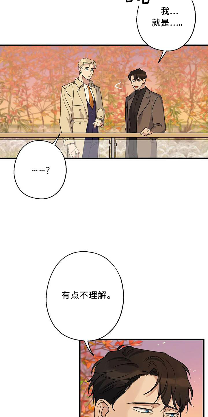 第33章：同意19