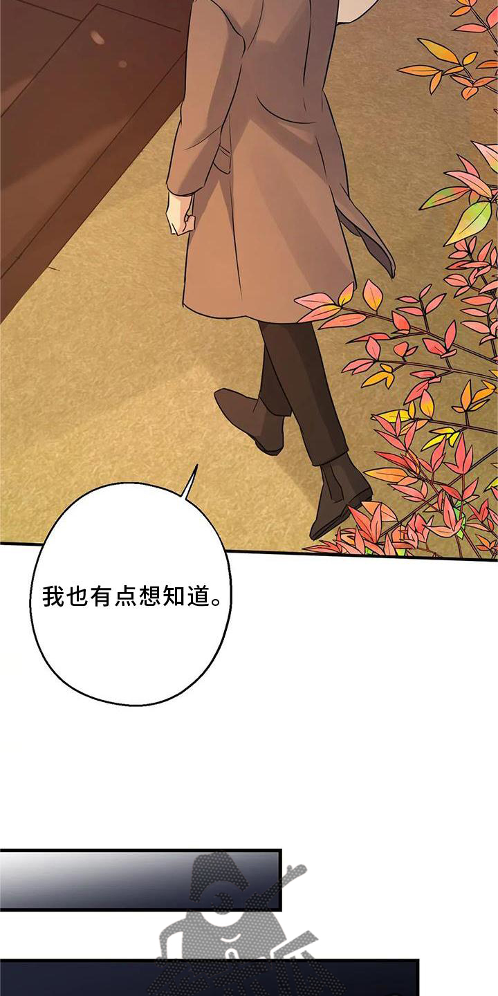 第35章：在意5