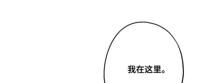 第65章：复仇24