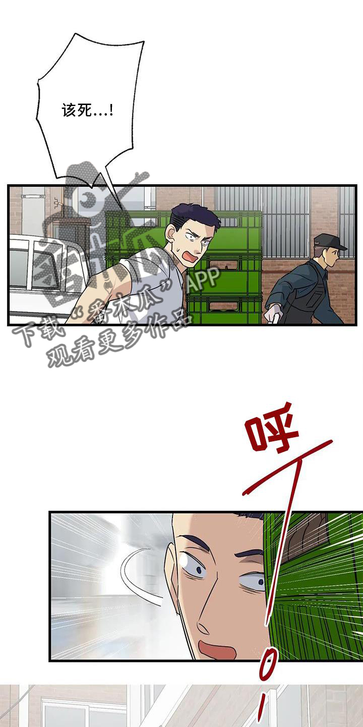 第36章：捉贼20