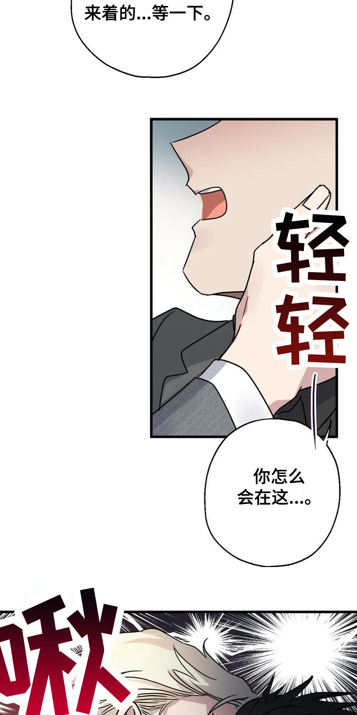 第3章：好久不见 15