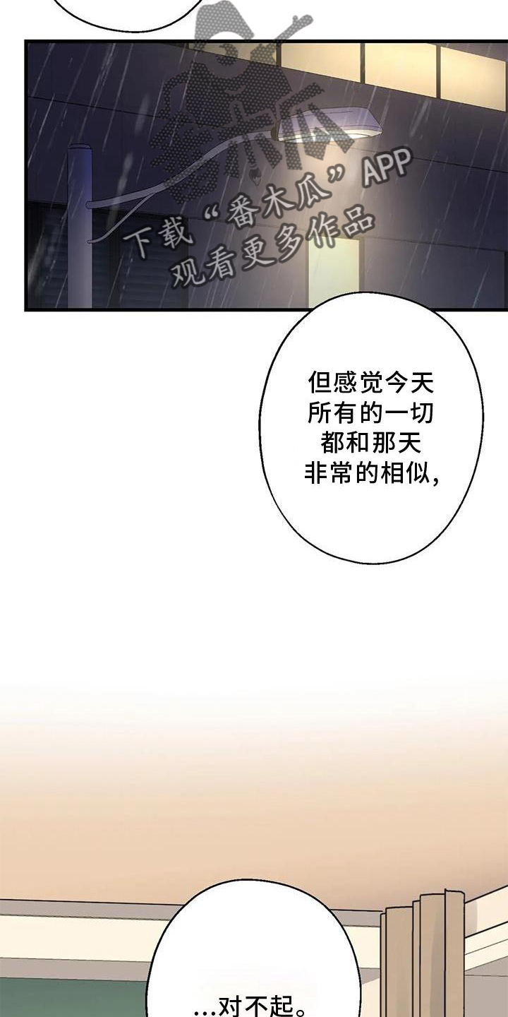 第29章：对不起15