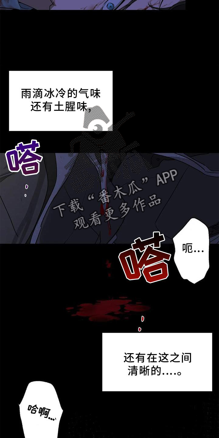第26章：再现18