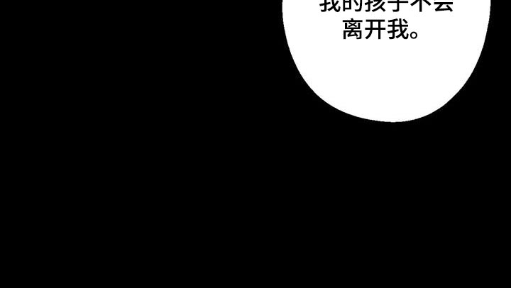 第66章：混乱12