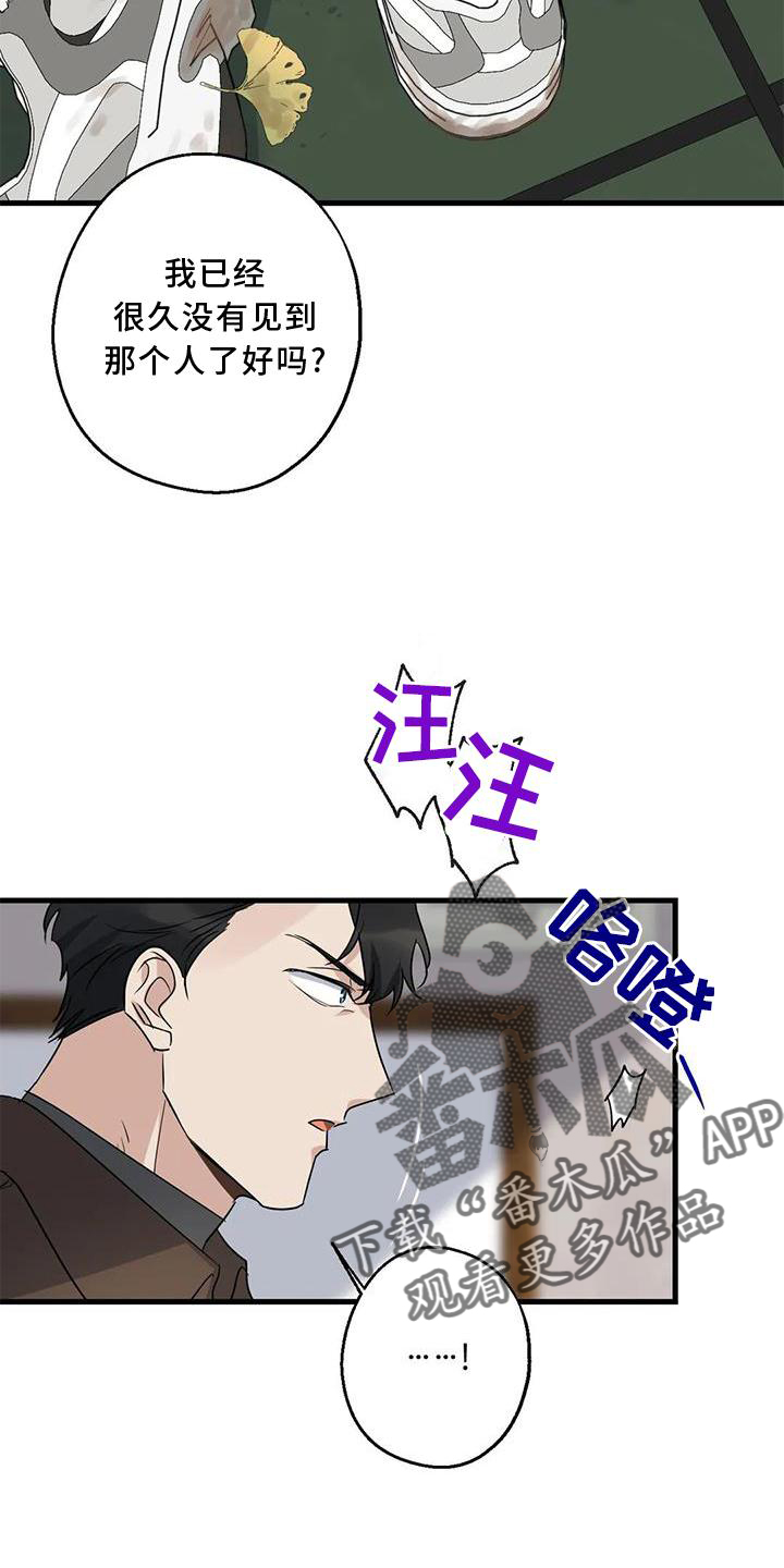 第36章：捉贼12