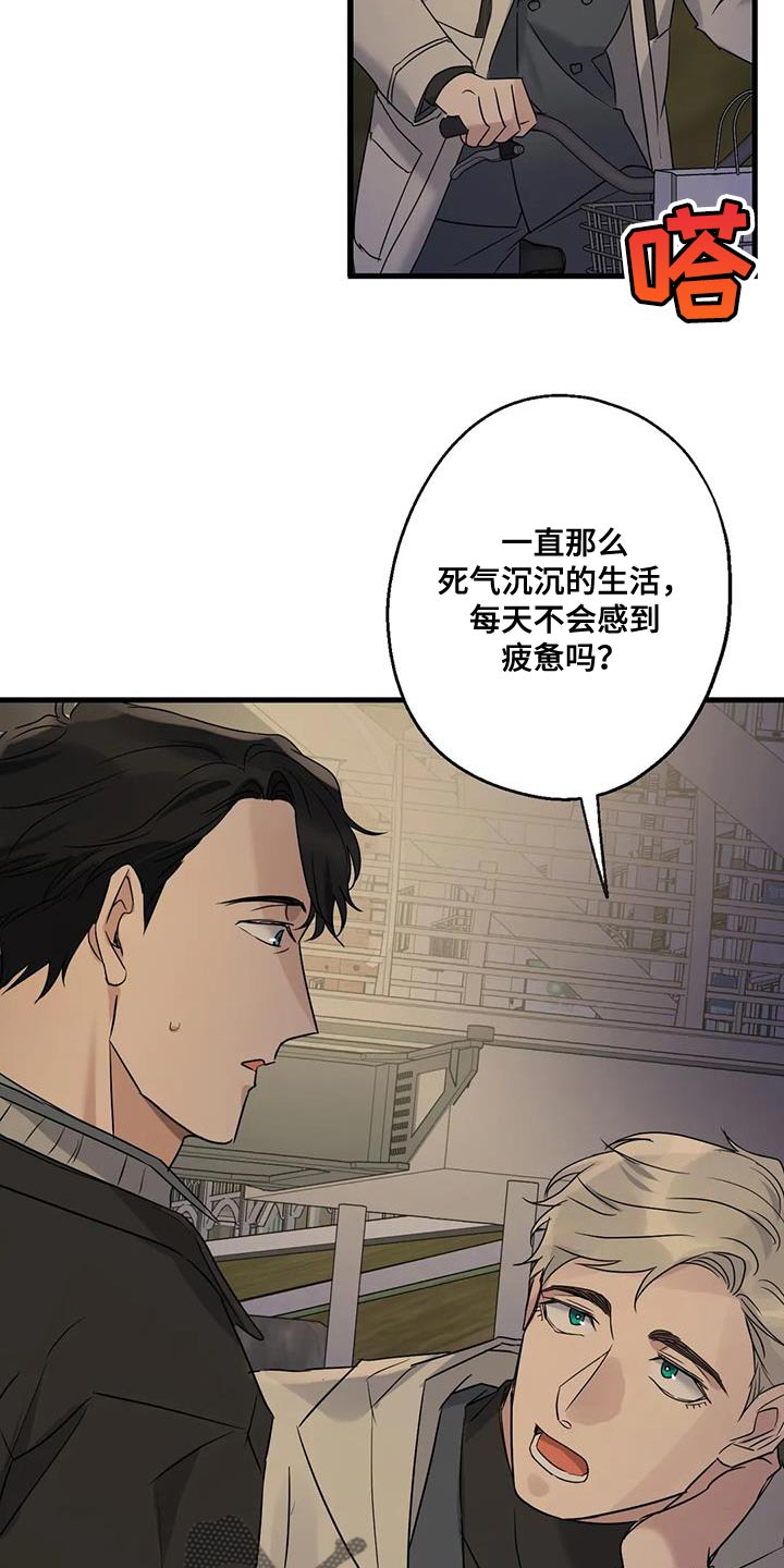 第48章：第一次骑自行车28