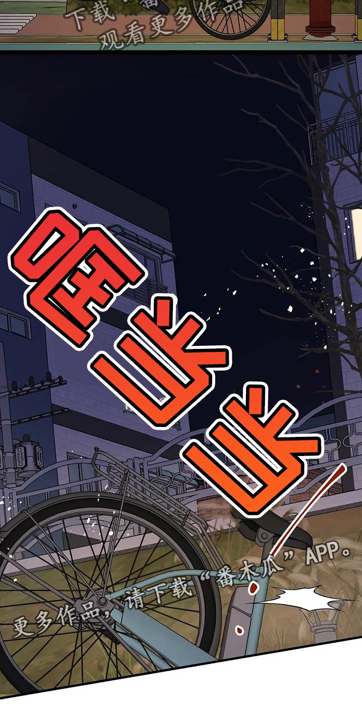 第48章：第一次骑自行车36