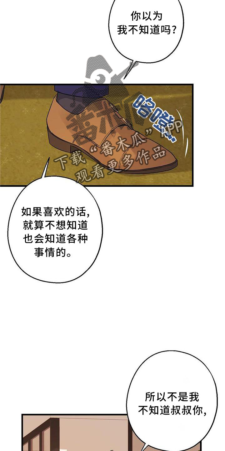 第34章：假恋爱12