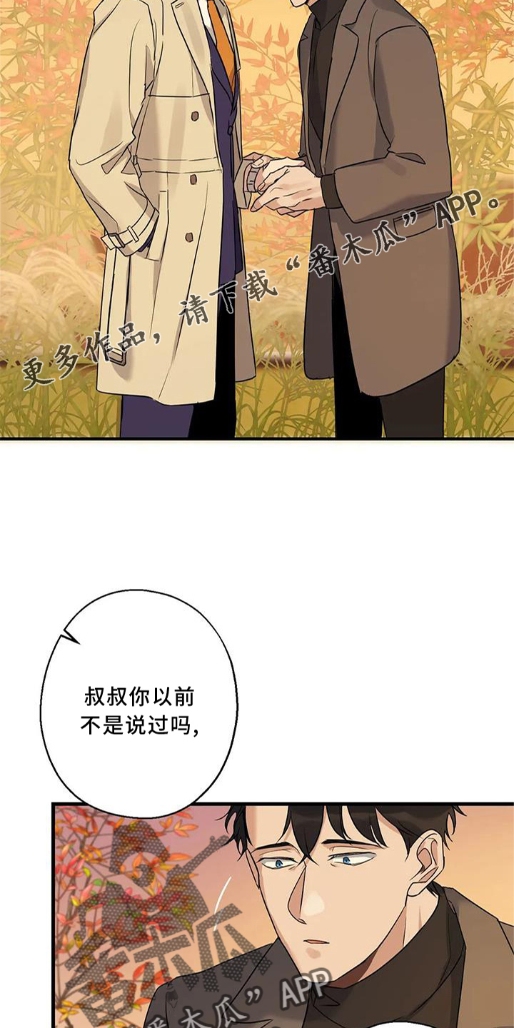第33章：同意12