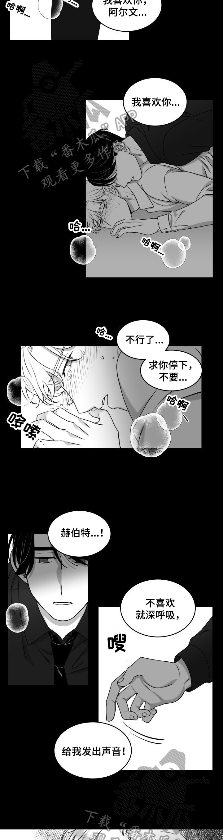 第28章：反应4
