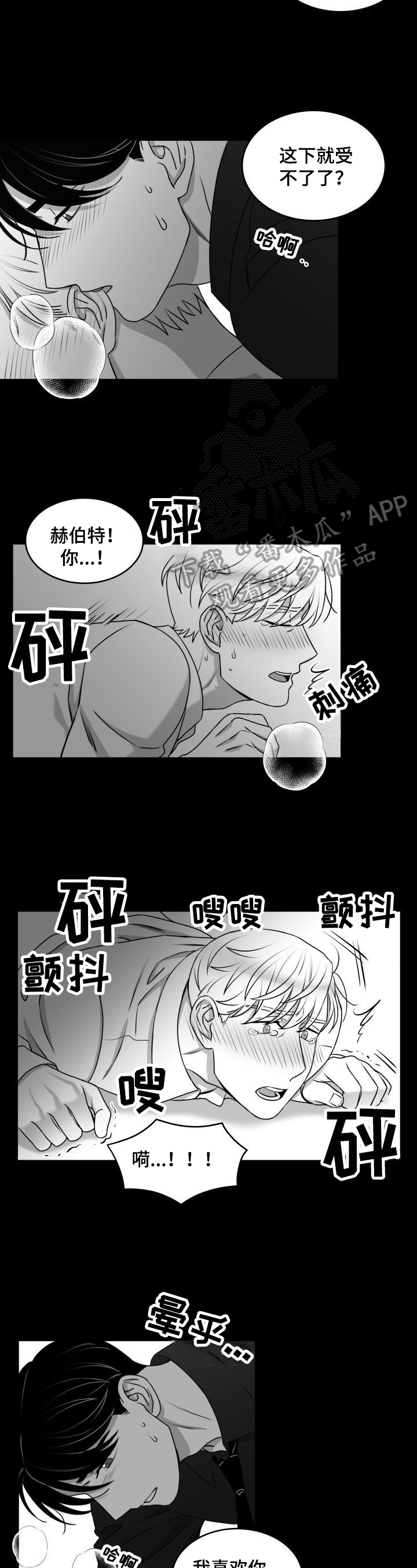 第28章：反应3