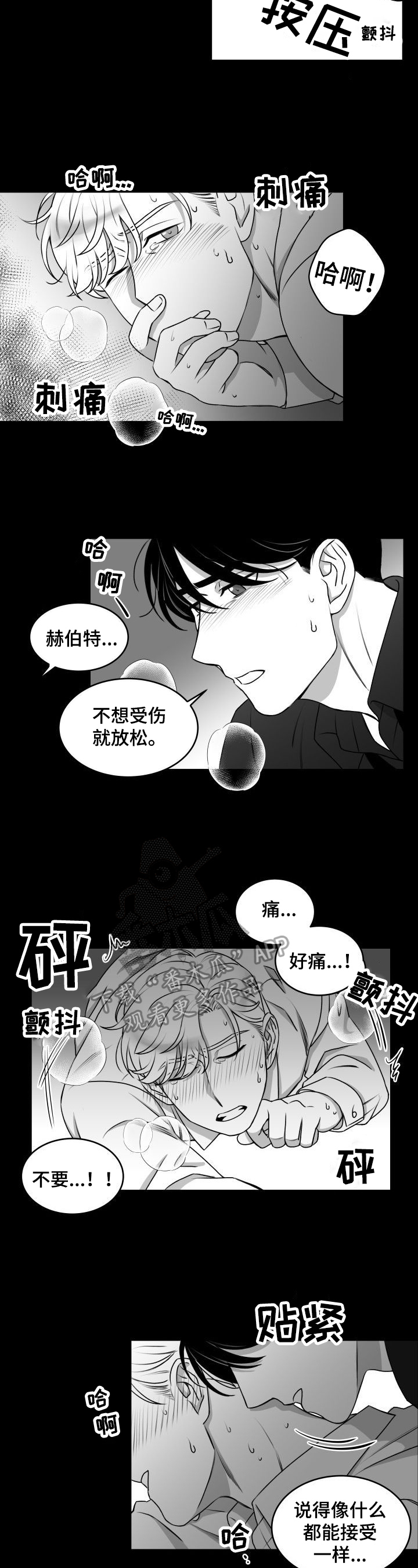 第28章：反应2