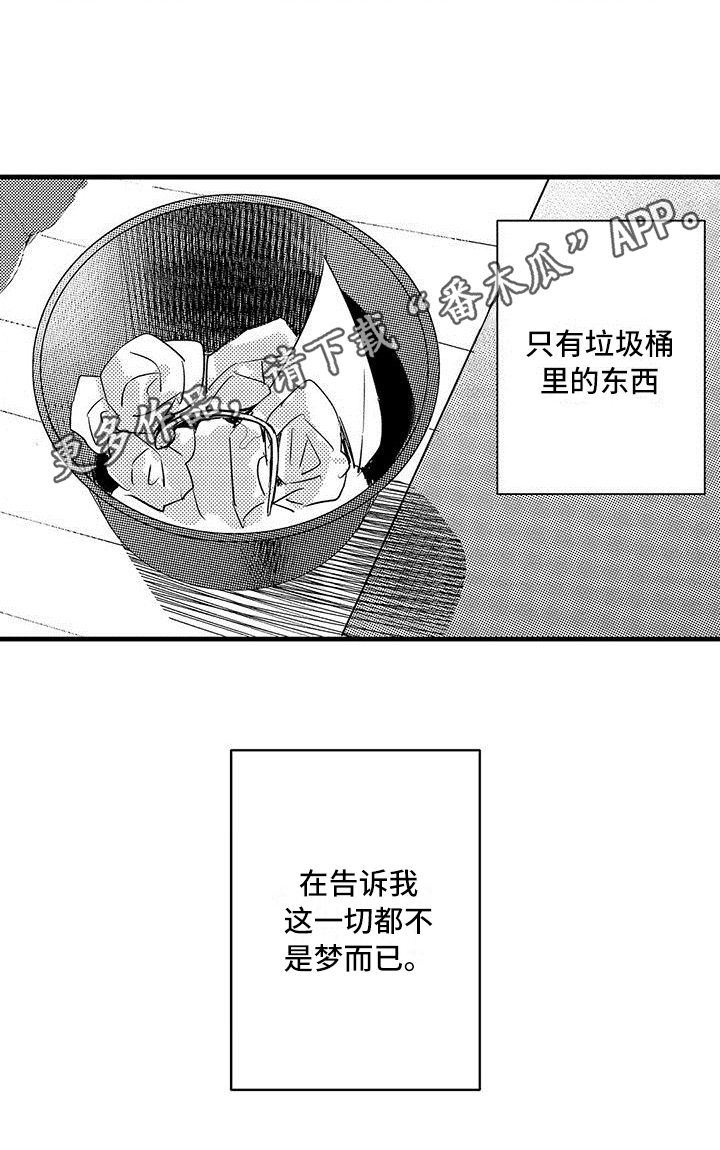 第17章：误解13