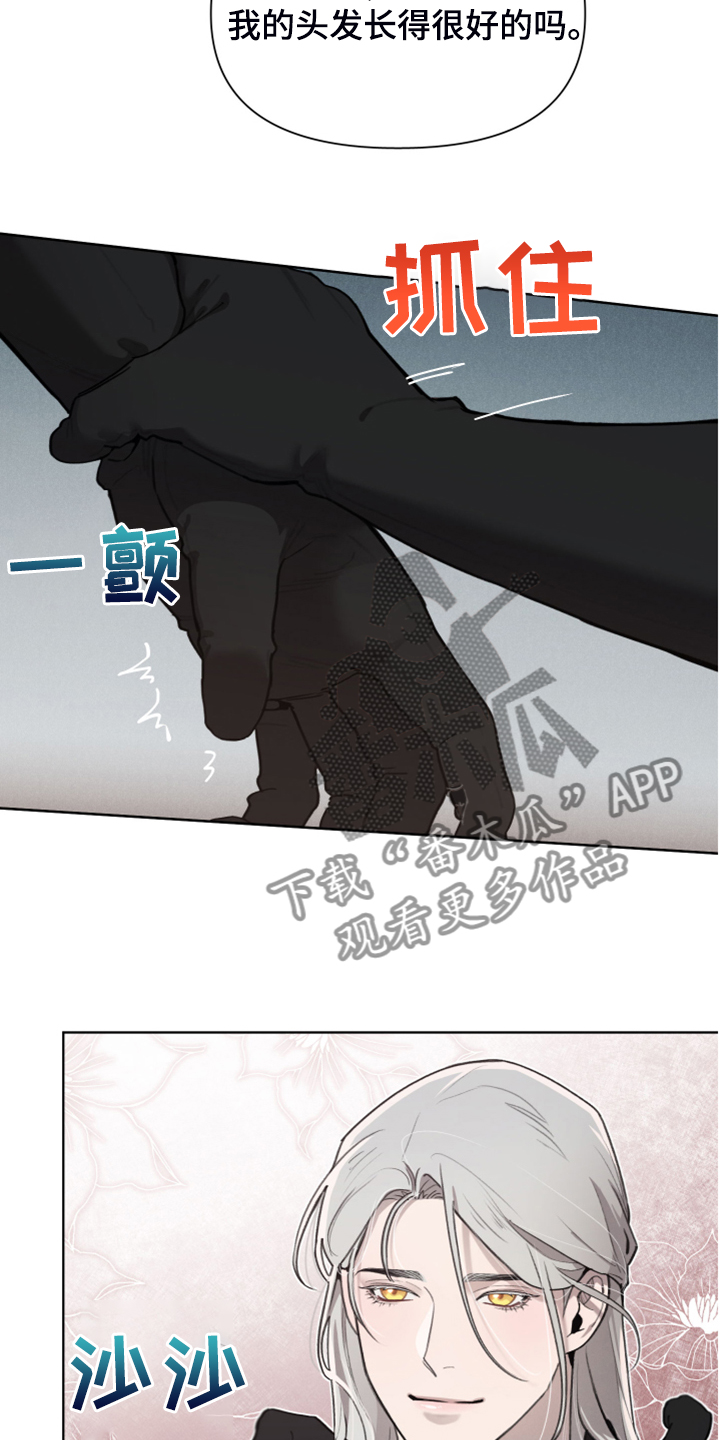 第52章：理解了15