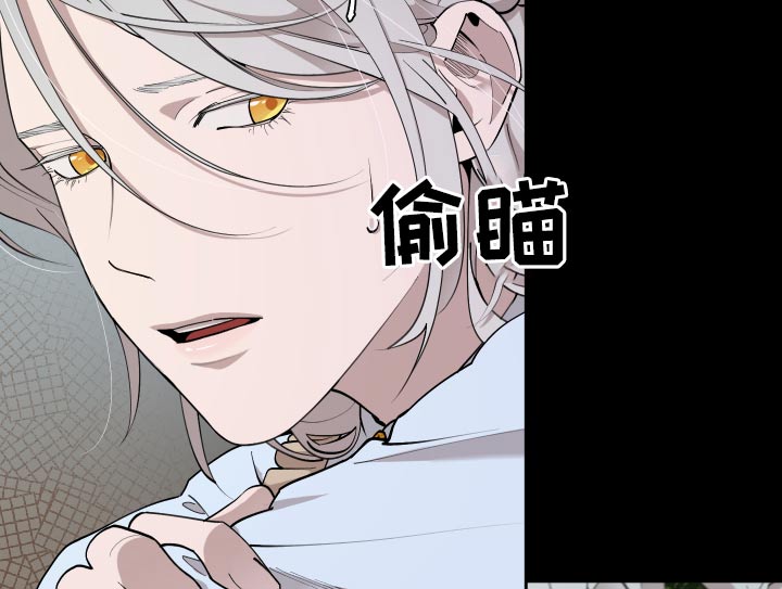 第68章：【番外】要不要杀16