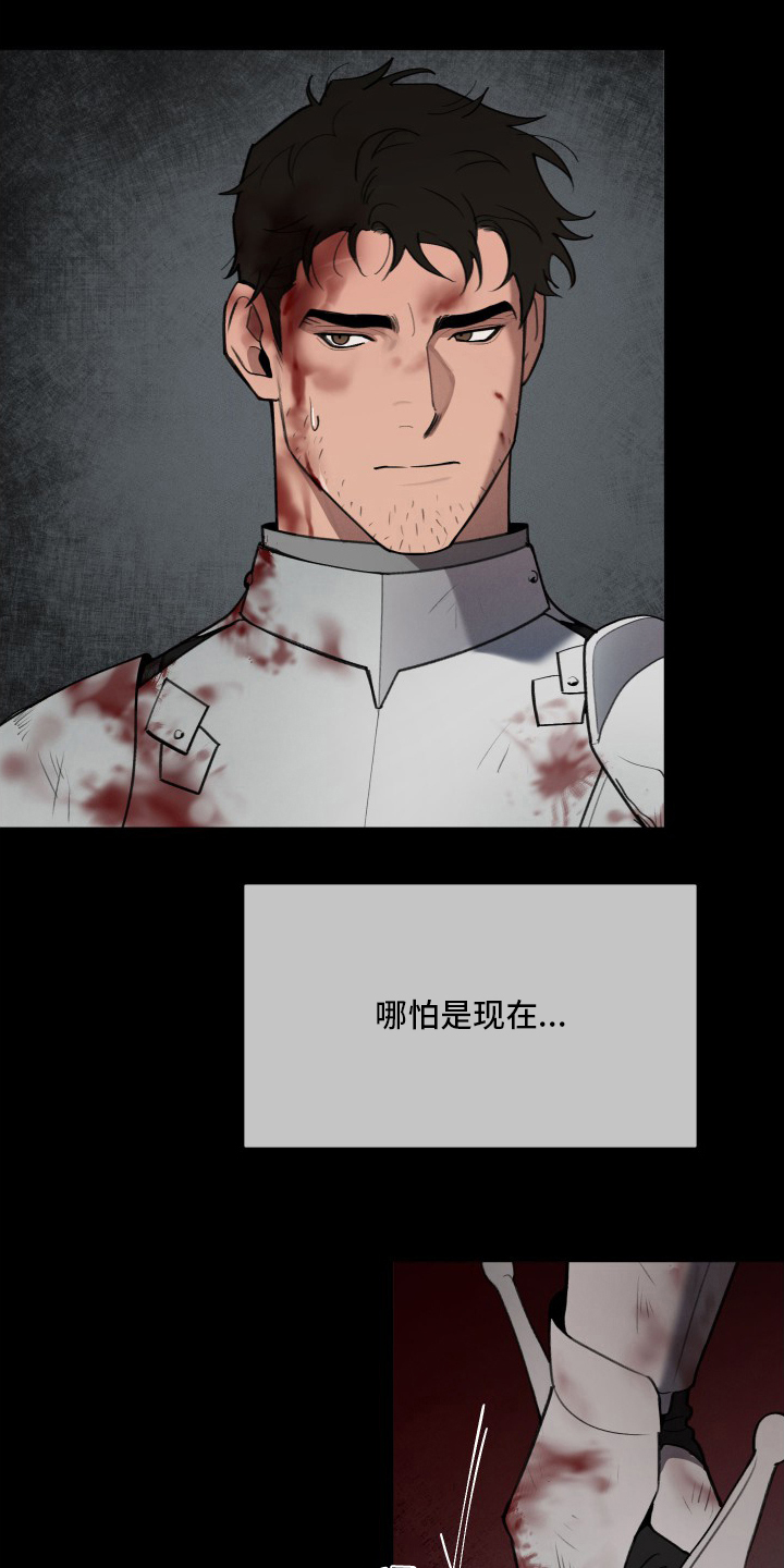 第46章：攻陷14