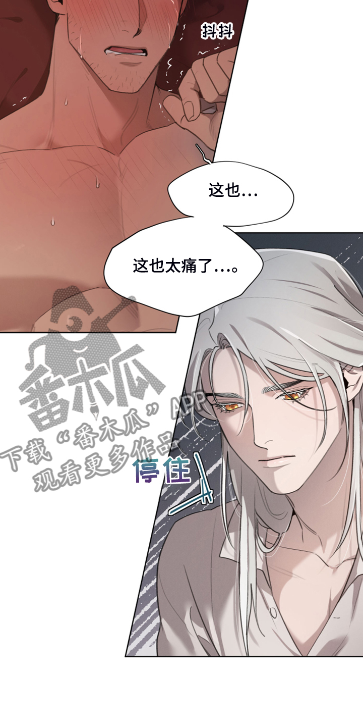第54章：就是不相信我16