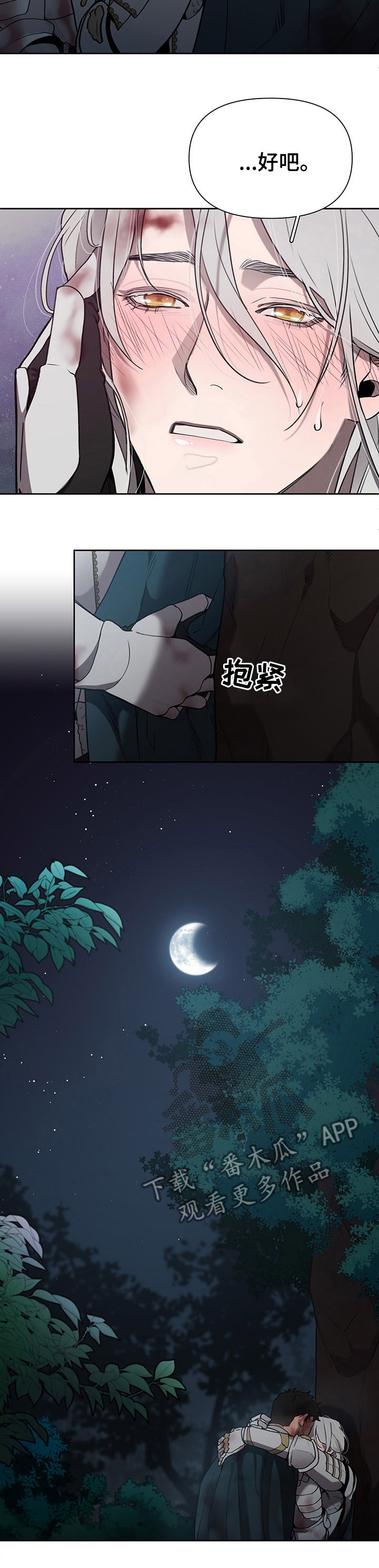 第45章：疯了12