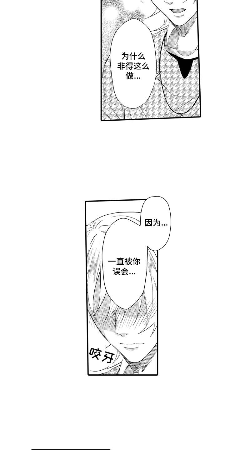 第17章：解释14