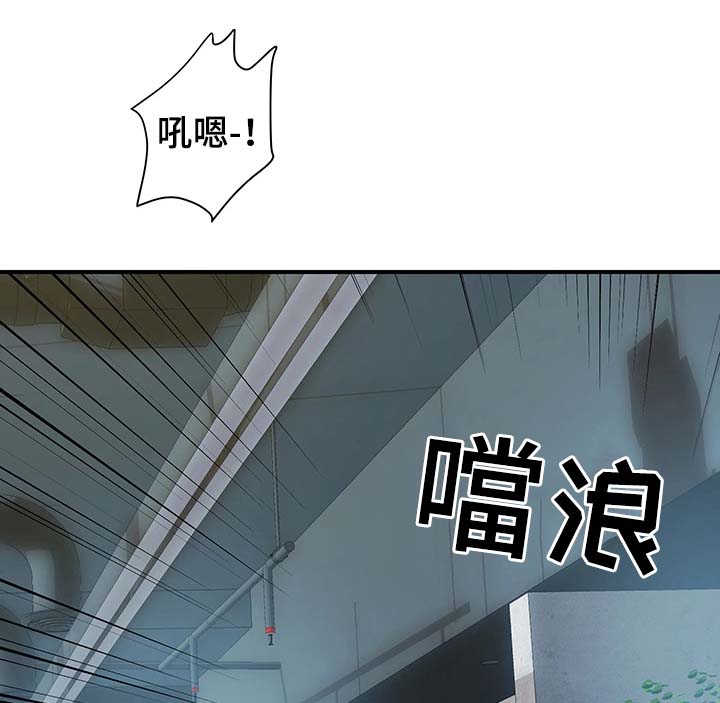 第33章：客人来访15
