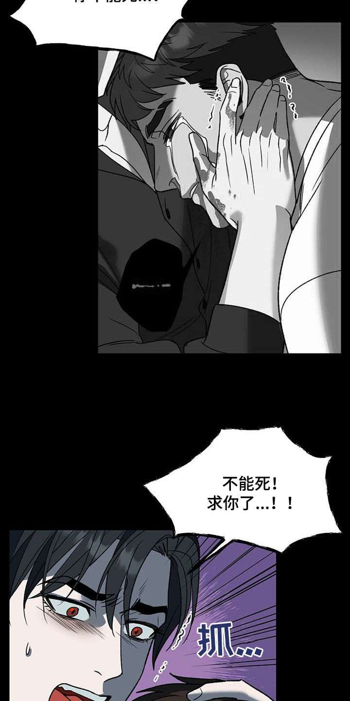 第19章：梦中的男人14