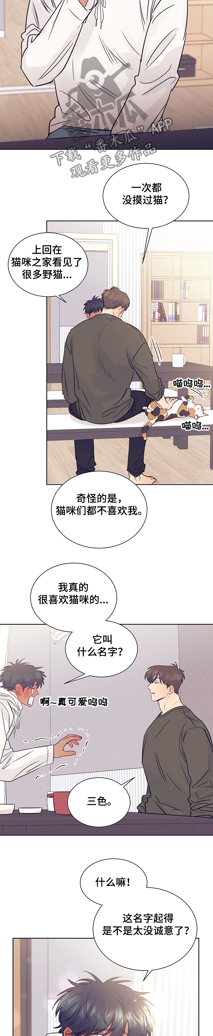 第38章：被猫抓了6