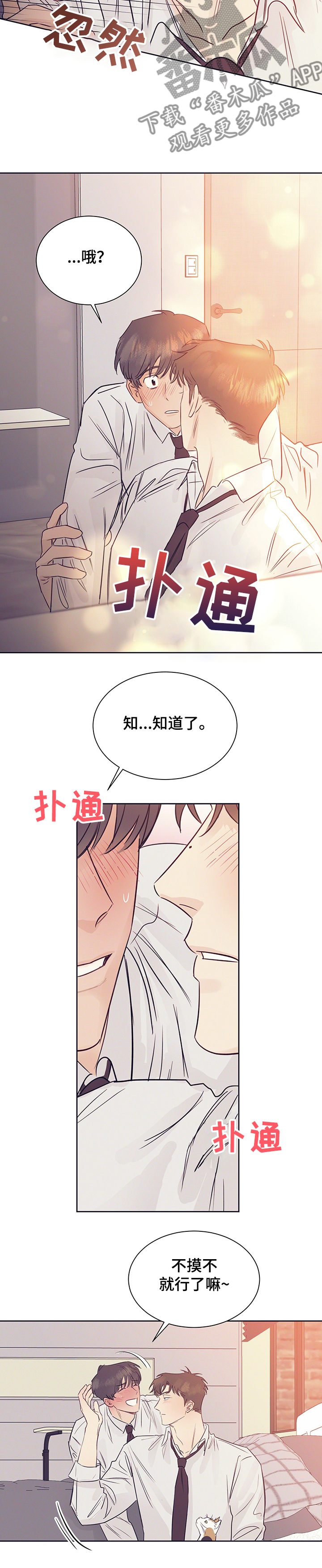 第38章：被猫抓了9