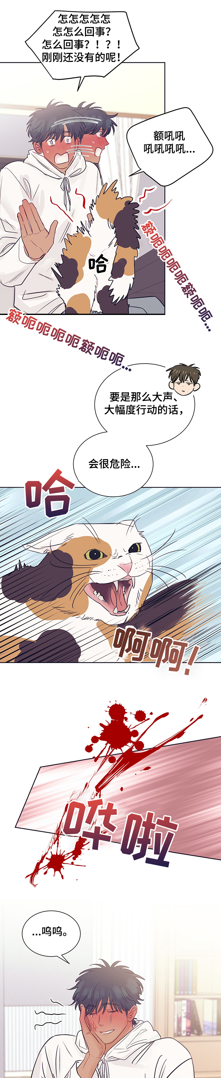 第38章：被猫抓了5