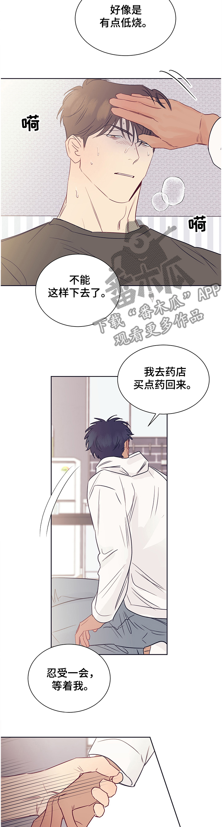 第40章：不会再出现2
