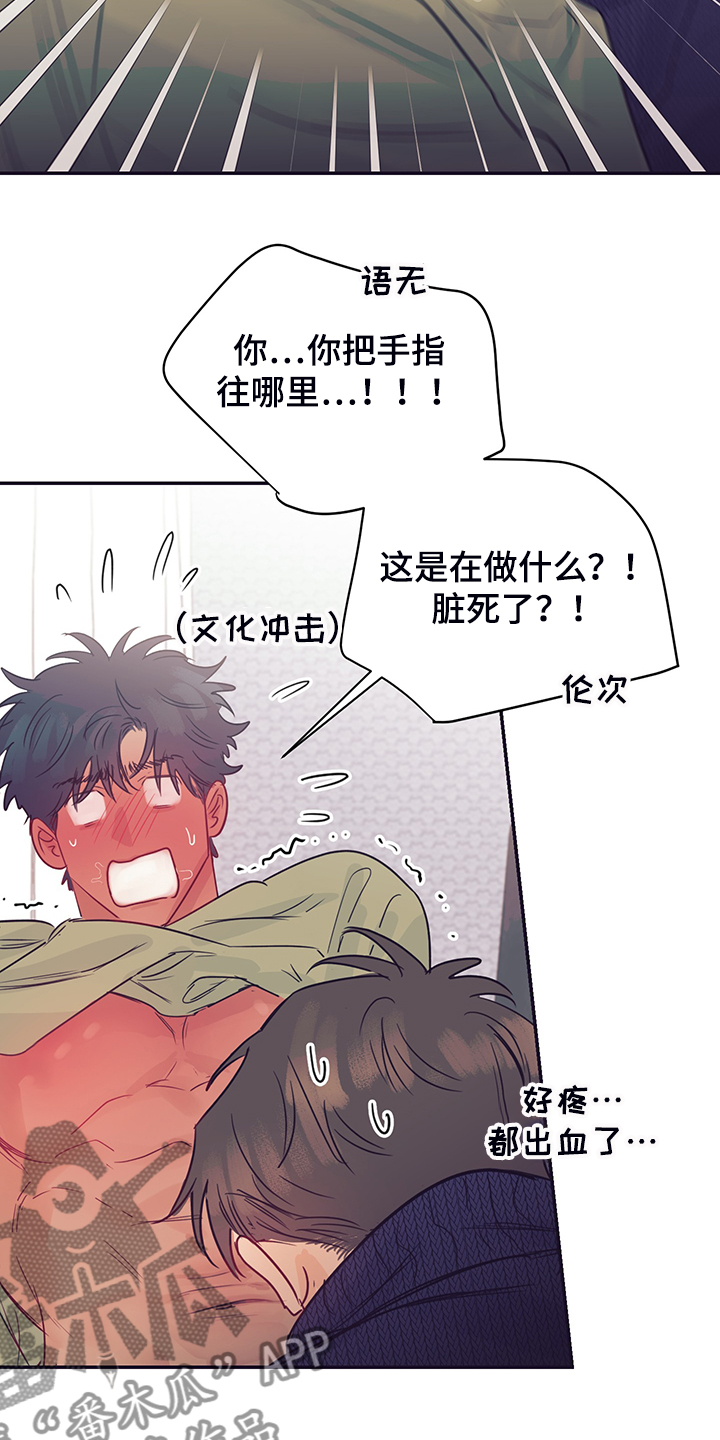 第60章：暗度陈仓14